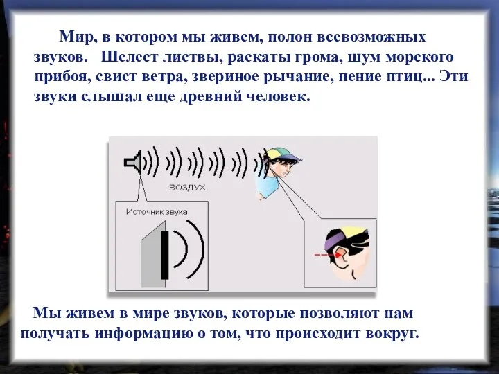 Мы живем в мире звуков, которые позволяют нам получать информацию о том, что