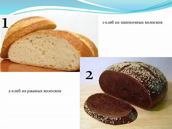 1 2 1-хлеб из пшеничных колосков 2-хлеб из ржаных колосков