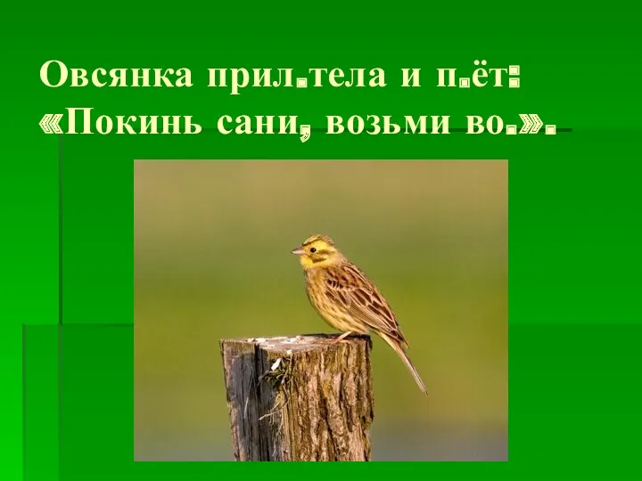 Овсянка прил.тела и п.ёт: «Покинь сани, возьми во.».