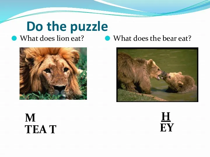 Do the puzzle What does lion eat? What does the
