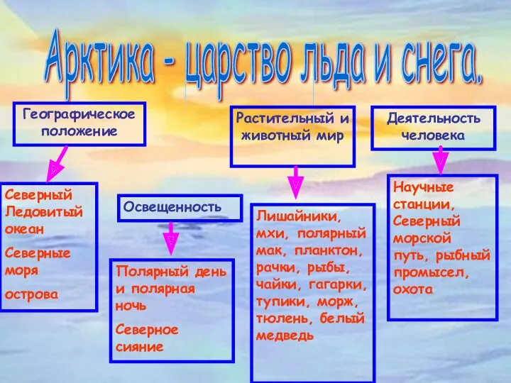 Арктика - царство льда и снега. Географическое положение Освещенность Растительный