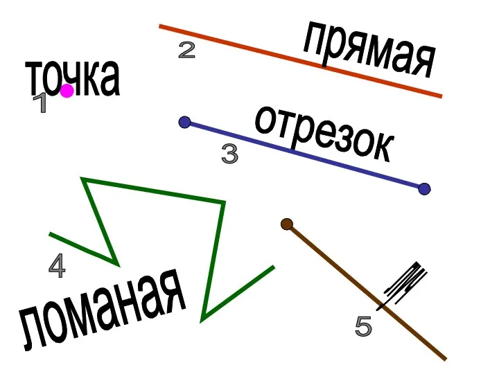 точка отрезок ломаная прямая луч 1 2 3 4 5