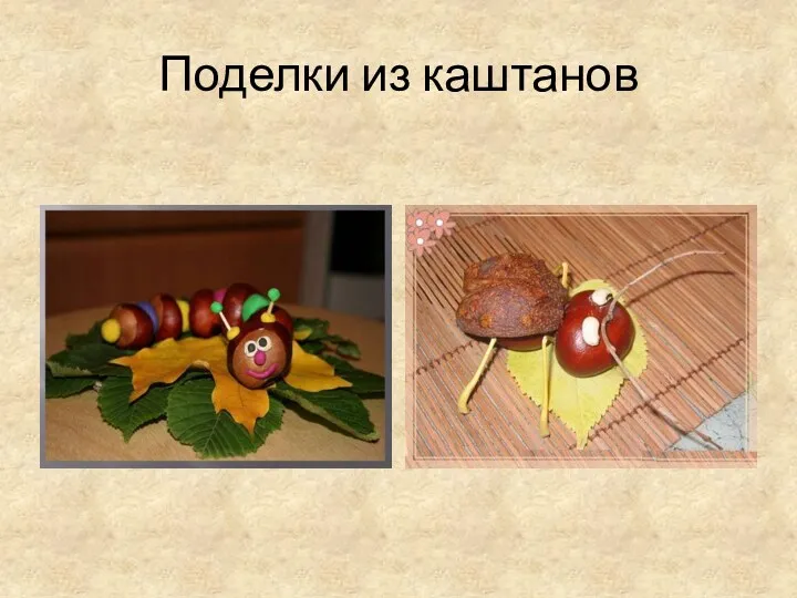 Поделки из каштанов