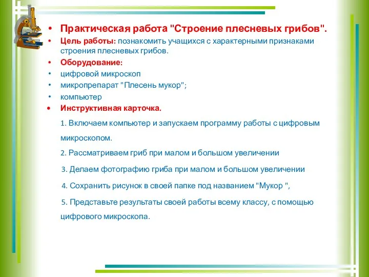 Практическая работа "Строение плесневых грибов". Цель работы: познакомить учащихся с