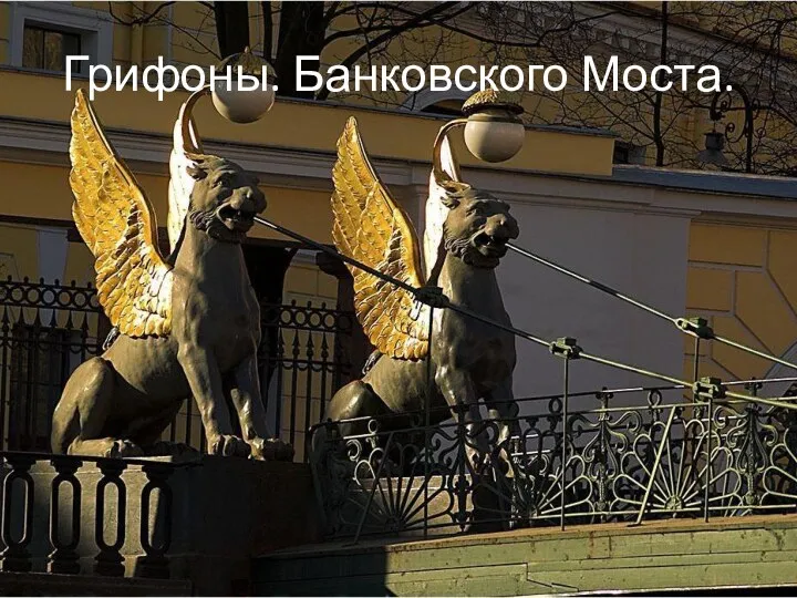 Грифоны. Банковского Моста.