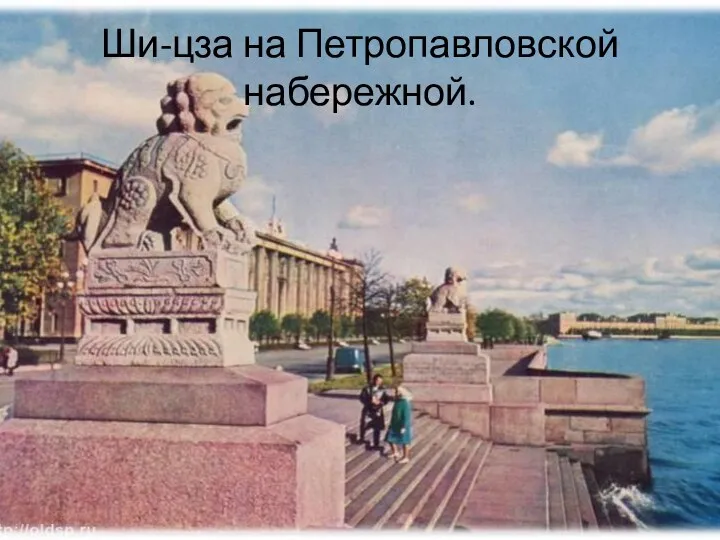 Ши-цза на Петропавловской набережной.