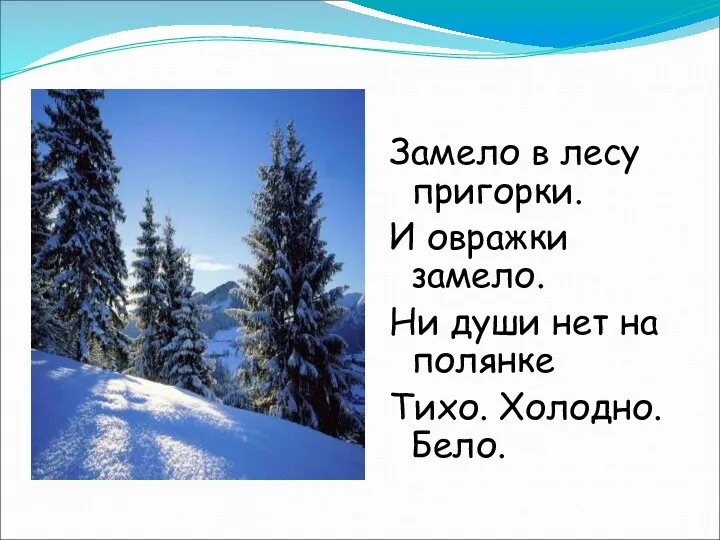 Замело в лесу пригорки. И овражки замело. Ни души нет на полянке Тихо. Холодно. Бело.