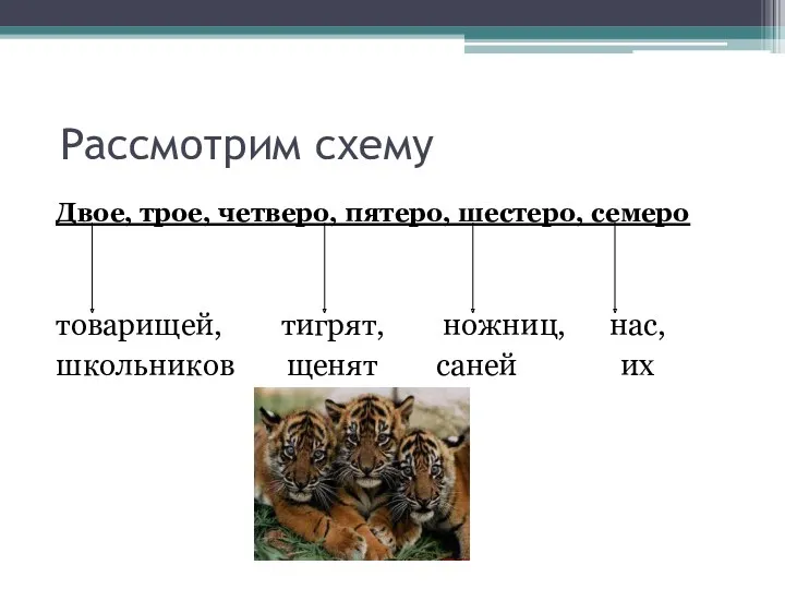 Рассмотрим схему Двое, трое, четверо, пятеро, шестеро, семеро товарищей, тигрят, ножниц, нас, школьников щенят саней их