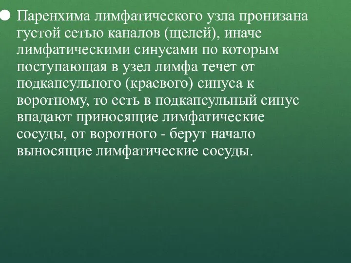 Паренхима лимфатического узла пронизана густой сетью каналов (щелей), иначе лимфатическими