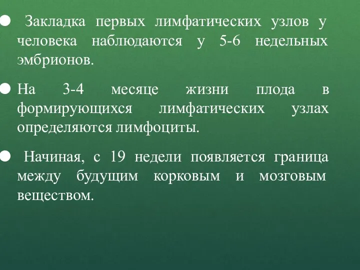 Закладка первых лимфатических узлов у человека наблюдаются у 5-6 недельных