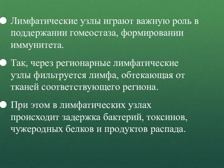 Лимфатические узлы играют важную роль в поддержании гомеостаза, формировании иммунитета.