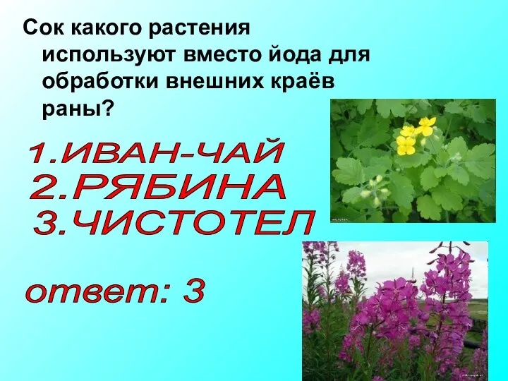 Сок какого растения используют вместо йода для обработки внешних краёв раны? 3.ЧИСТОТЕЛ 1.ИВАН-ЧАЙ 2.РЯБИНА ответ: 3