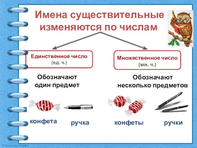 Имена существительные изменяются по числам Единственное число (ед. ч.) Множественное