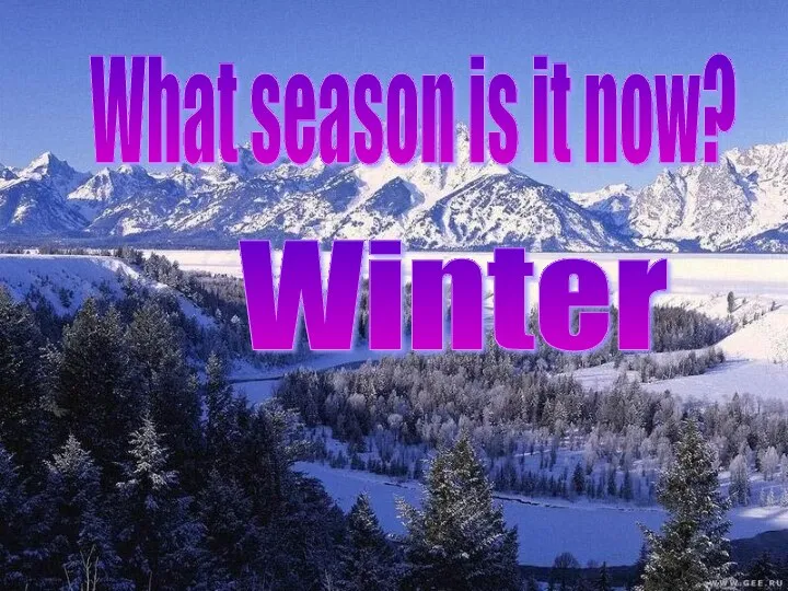 What season is it now? Winter