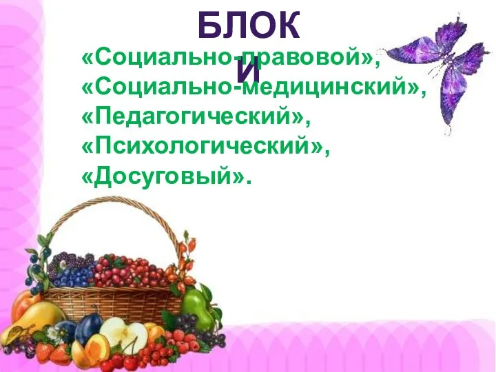 БЛОКИ «Социально-правовой», «Социально-медицинский», «Педагогический», «Психологический», «Досуговый».