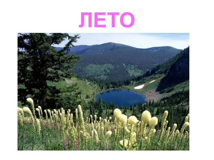 ЛЕТО