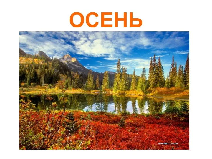 ОСЕНЬ