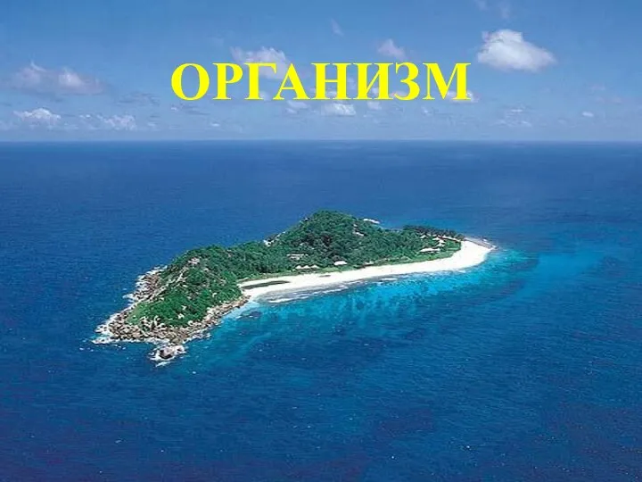 ОРГАНИЗМ