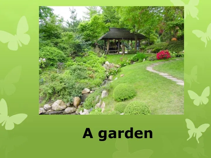 A garden