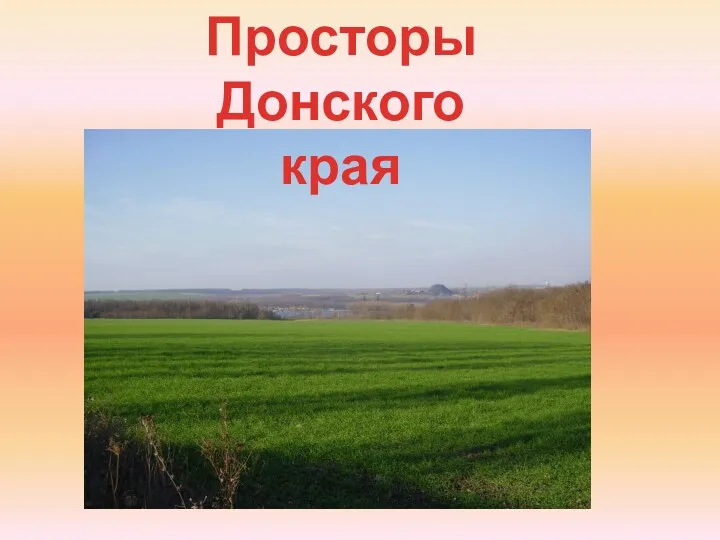 Просторы Донского края