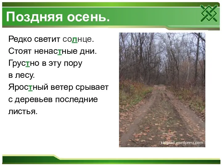 Поздняя осень. Редко светит солнце. Стоят ненастные дни. Грустно в