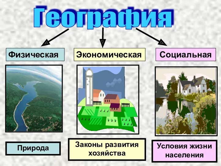 Физическая Экономическая Социальная Законы развития хозяйства Условия жизни населения География Природа