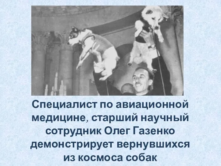 Специалист по авиационной медицине, старший научный сотрудник Олег Газенко демонстрирует вернувшихся из космоса собак