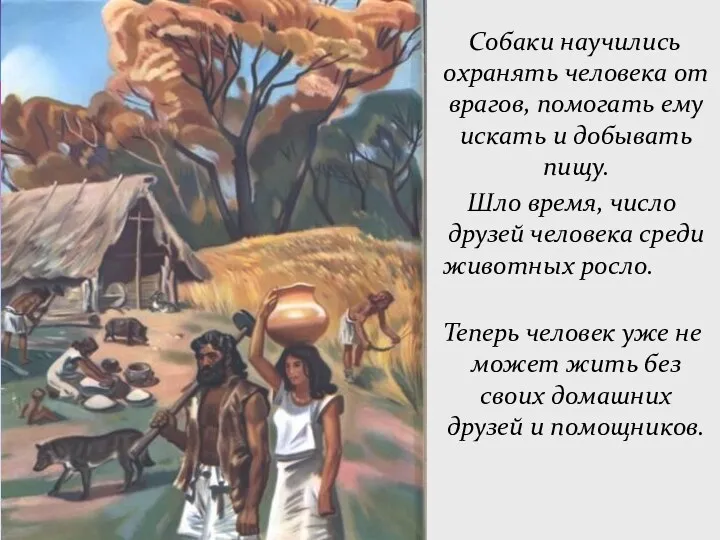 Собаки научились охранять человека от врагов, помогать ему искать и добывать пищу. Шло