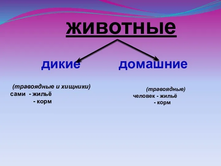 животные дикие домашние (травоядные и хищники) сами - жильё - корм (травоядные) человек