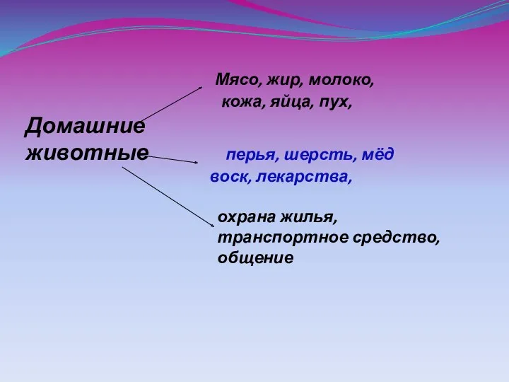 Мясо, жир, молоко, кожа, яйца, пух, Домашние животные перья, шерсть, мёд воск, лекарства,