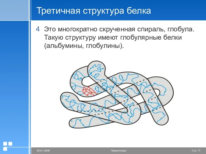 Третичная структура белка Это многократно скрученная спираль, глобула. Такую структуру имеют глобулярные белки (альбумины, глобулины).