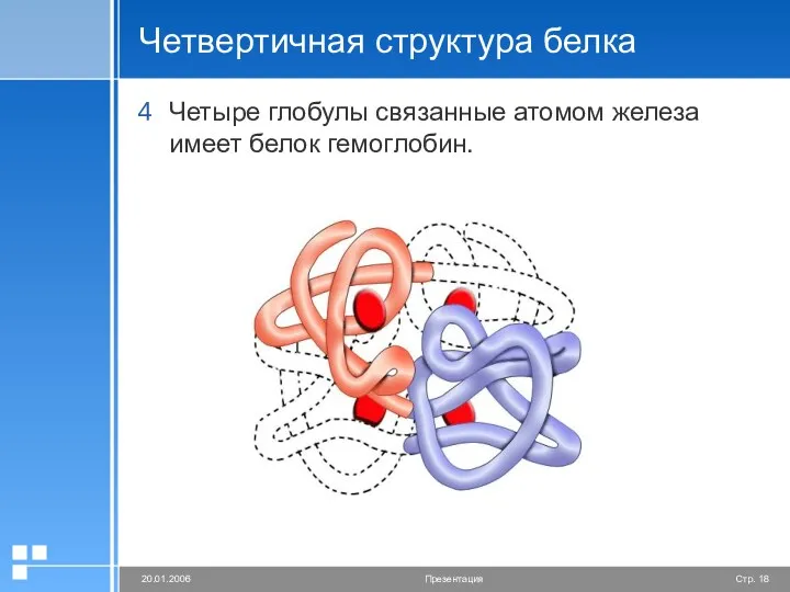 Четвертичная структура белка Четыре глобулы связанные атомом железа имеет белок гемоглобин.