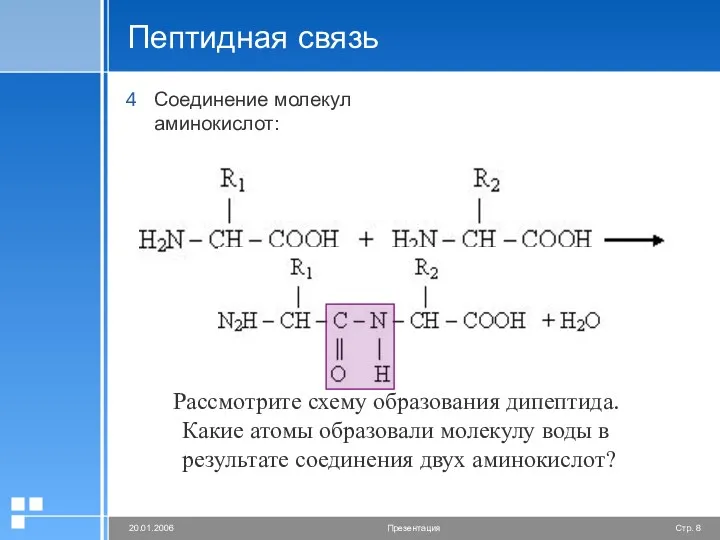 Пептидная связь Соединение молекул аминокислот: Рассмотрите схему образования дипептида. Какие