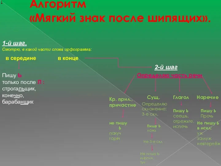 Алгоритм «Мягкий знак после шипящих». 1-й шаг. Смотрю, в какой