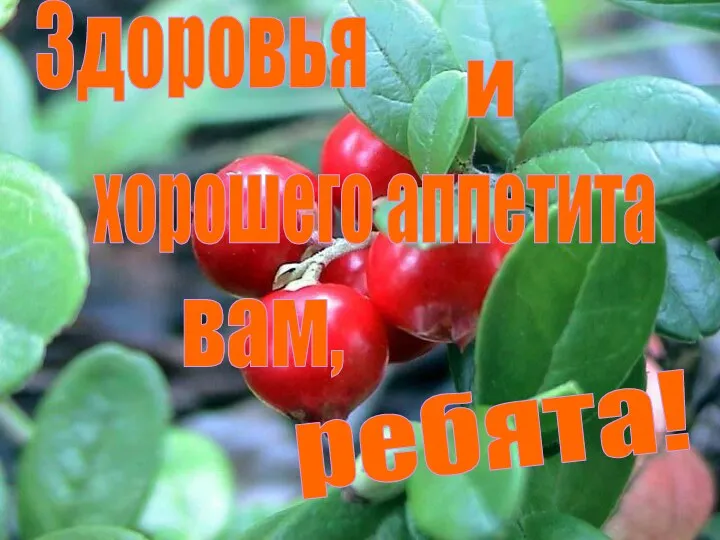 Здоровья и хорошего аппетита вам, ребята!