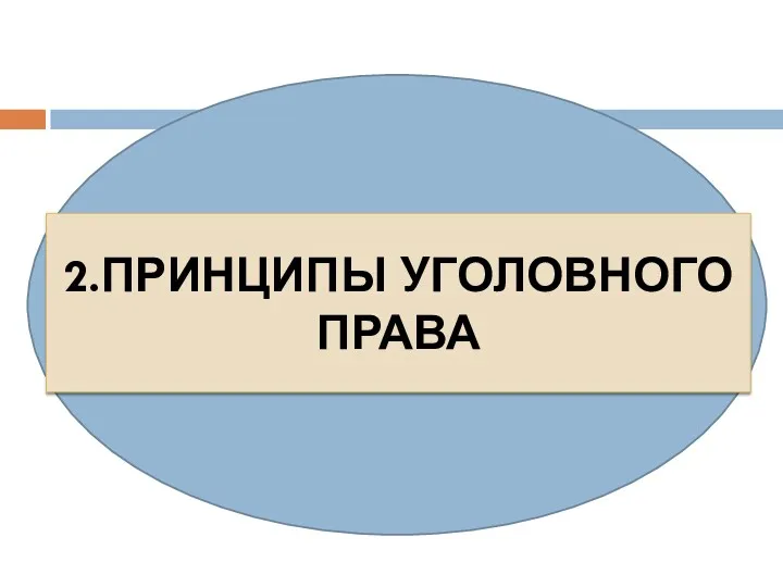 2.ПРИНЦИПЫ УГОЛОВНОГО ПРАВА