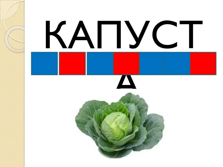 КАПУСТА