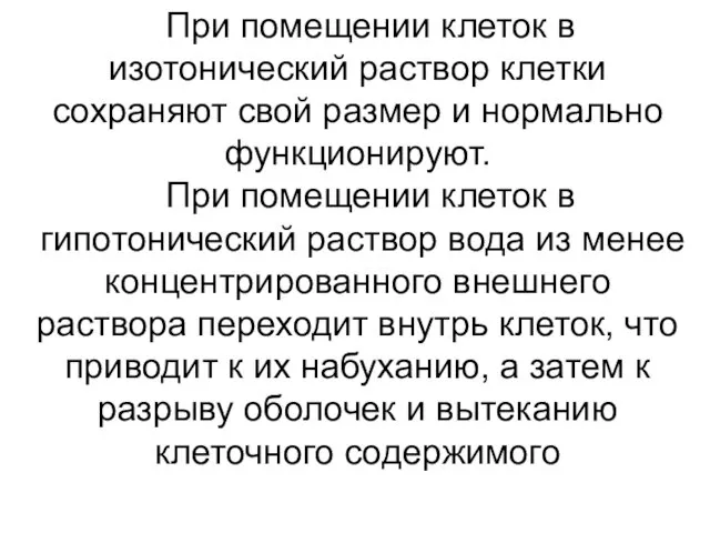 При помещении клеток в изотонический раствор клетки сохраняют свой размер и нормально функционируют.