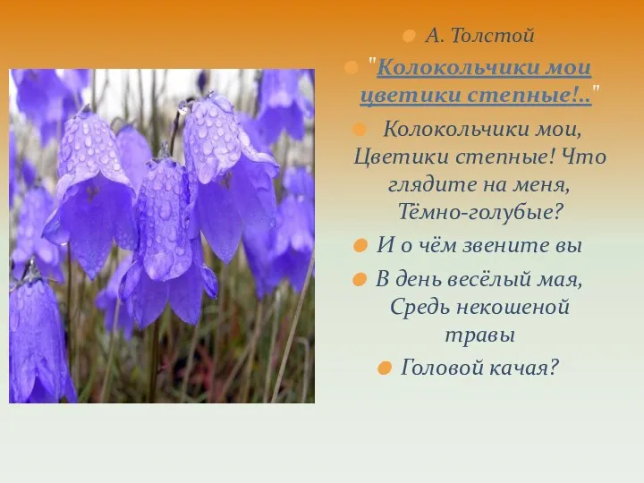А. Толстой "Колокольчики мои цветики степные!.." Колокольчики мои, Цветики степные!