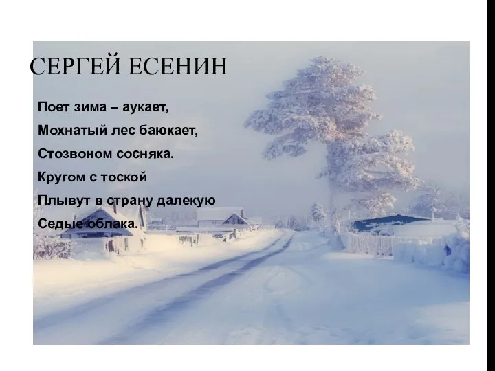 Сергей Есенин Поет зима – аукает, Мохнатый лес баюкает, Стозвоном сосняка. Кругом с