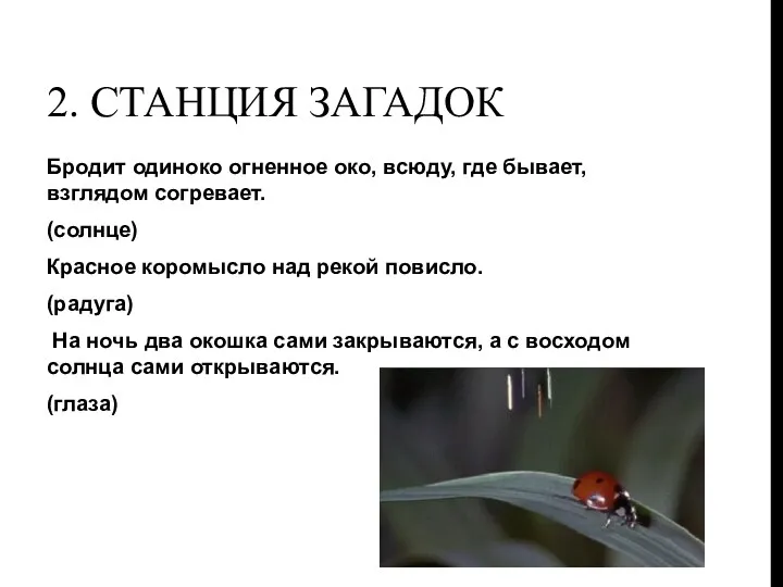 2. Станция загадок Бродит одиноко огненное око, всюду, где бывает, взглядом согревает. (солнце)