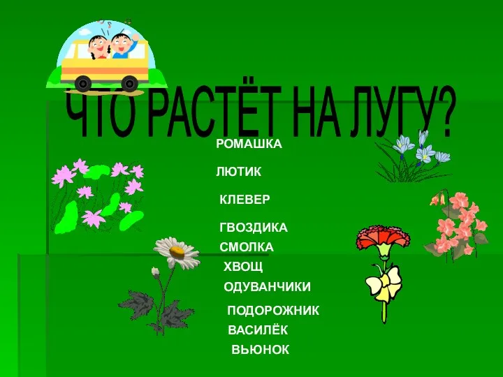 ЧТО РАСТЁТ НА ЛУГУ? РОМАШКА ЛЮТИК КЛЕВЕР ГВОЗДИКА СМОЛКА ХВОЩ ОДУВАНЧИКИ ПОДОРОЖНИК ВАСИЛЁК ВЬЮНОК