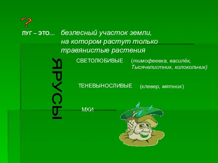 ЛУГ – ЭТО… безлесный участок земли, на котором растут только