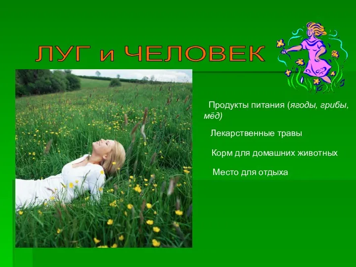 ЛУГ и ЧЕЛОВЕК Продукты питания (ягоды, грибы, мёд) Лекарственные травы