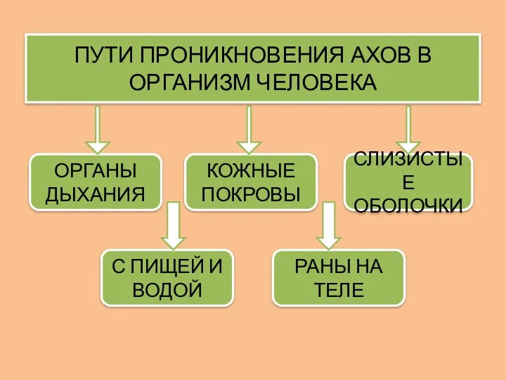 ПУТИ ПРОНИКНОВЕНИЯ АХОВ В ОРГАНИЗМ ЧЕЛОВЕКА ОРГАНЫ ДЫХАНИЯ СЛИЗИСТЫЕ ОБОЛОЧКИ