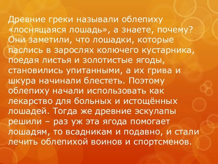 Древние греки называли облепиху «лоснящаяся лошадь», а знаете, почему? Они