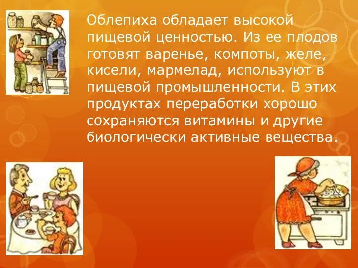 Облепиха обладает высокой пищевой ценностью. Из ее плодов готовят варенье,