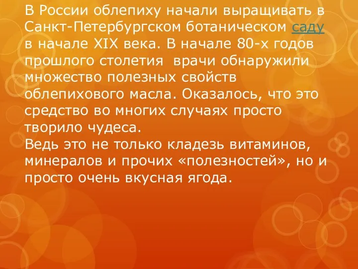 В России облепиху начали выращивать в Санкт-Петербургском ботаническом саду в