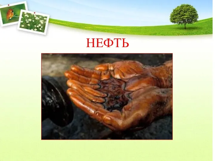 НЕФТЬ