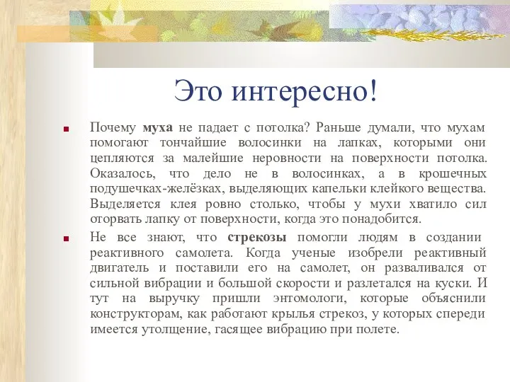 Это интересно! Почему муха не падает с потолка? Раньше думали,